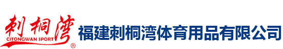 v站体育直播